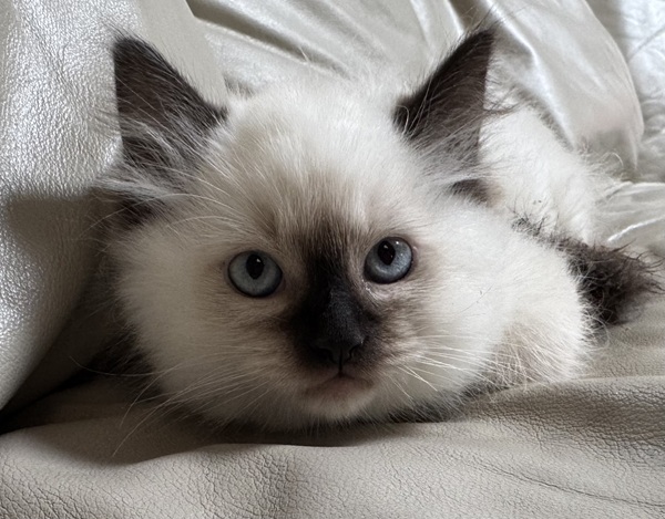 Picture of Fred