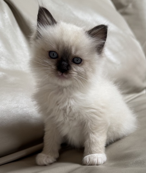 Picture of George